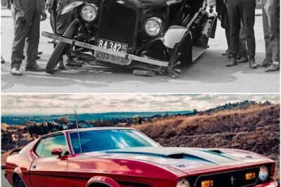 The Evolution of American Muscle Cars