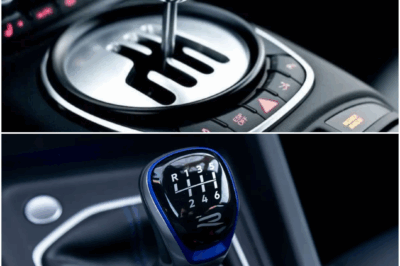 Why Manual Transmissions Refuse to Die