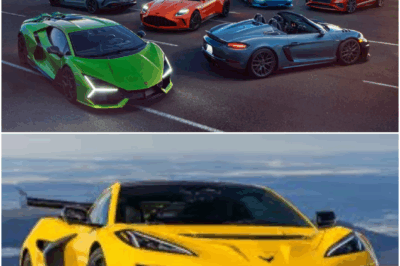 Motorsport: The Theater of Speed and Risk