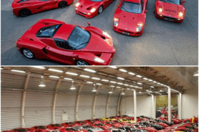 Car Collectors and the Obsession With Perfection