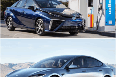 The Future of Fuel: Hydrogen vs Electricity