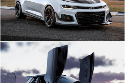 Luxury vs Performance: What Defines a Modern Car?